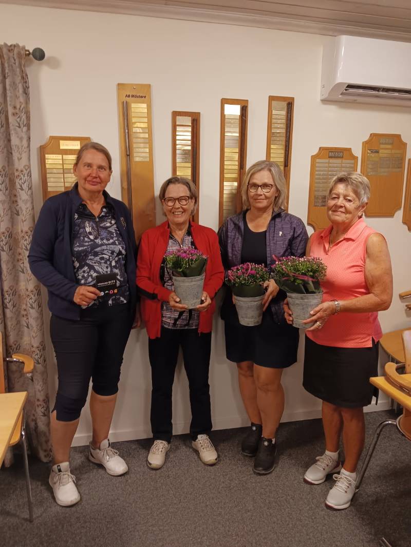 Damernas Rosa Pantertävling