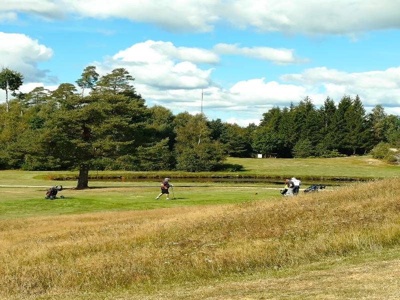 🏌️ Onsdagsgolfen avslutad för säsongen!